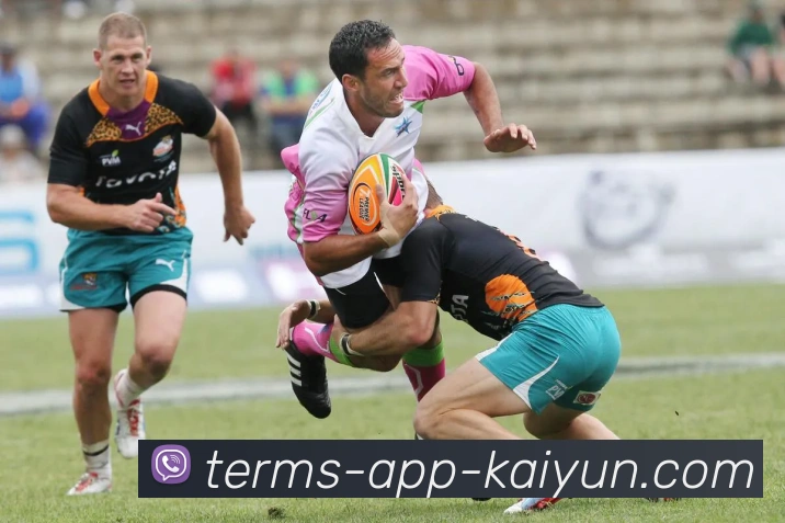 开云app平台生态图