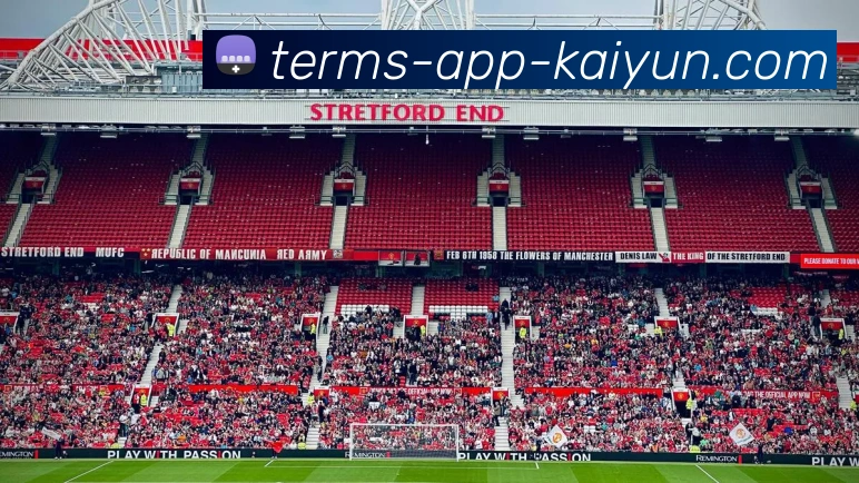 开云appAPP 封面图